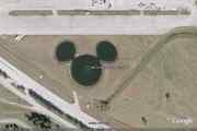 A close up shot of  the Mickey Mouse Lake