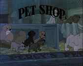 Peg in the pet shop