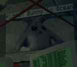 An Article about the Cabbit in Sr2