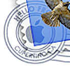 OSX Mail Icon Magnified 4x and sharpened with Photoshop (
